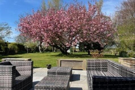 Pilling Lane Blossom