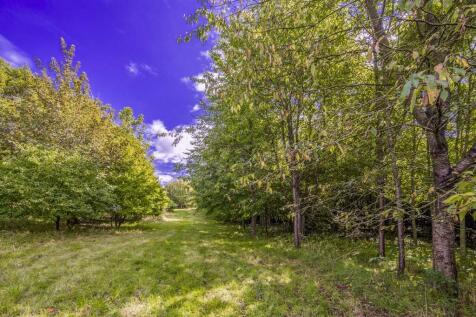 Property Image 45