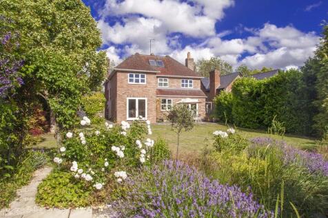Property Image 8