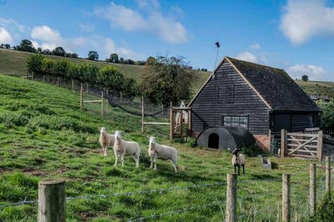 Property Image 21