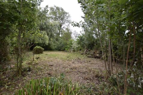Rear garden.jpg