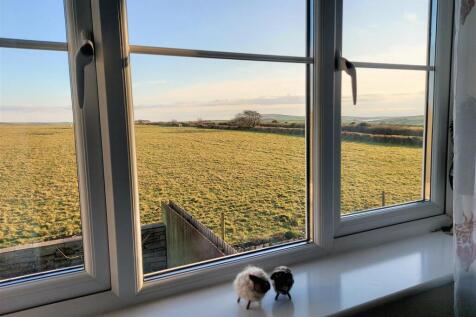 View from the Bedroom