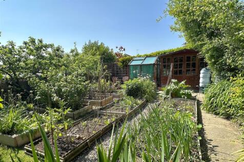 Veg garden.jpg