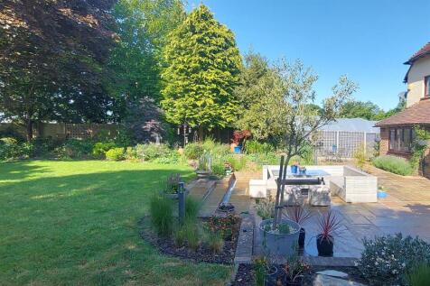 Garden c.jpg