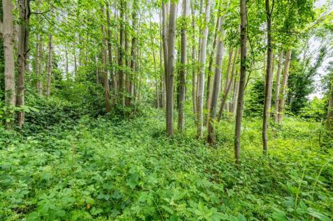 Woodland