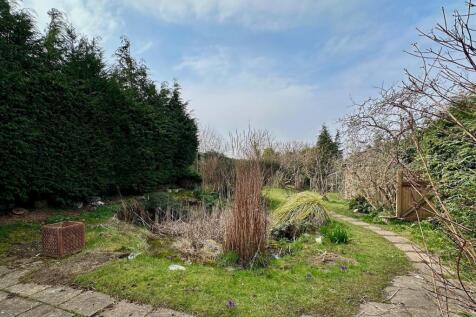 back garden 2.jpg