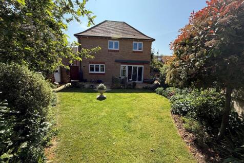 garden6.jpg