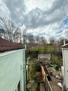 IMG_7986(1).jpeg