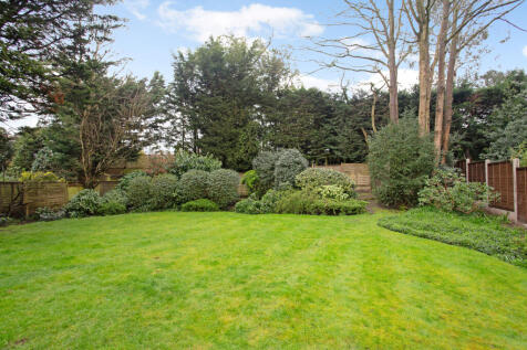 Back garden