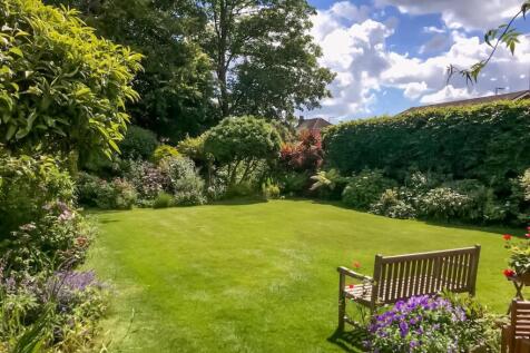 garden.jpg