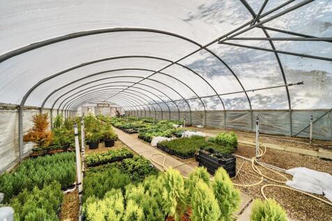 Nursery