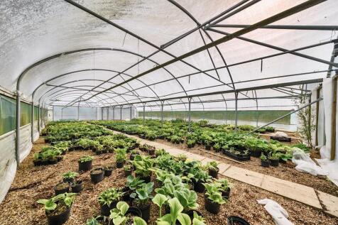 Nursery