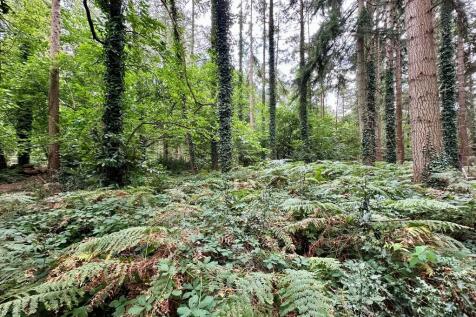 Property Image 22