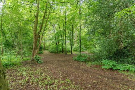 Property Image 35