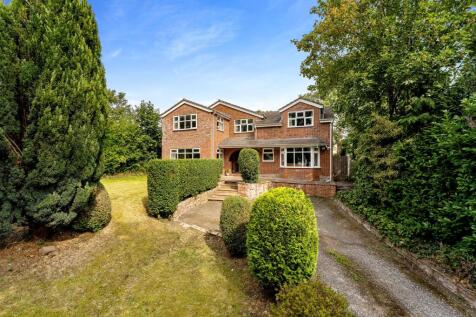 Property Image 39