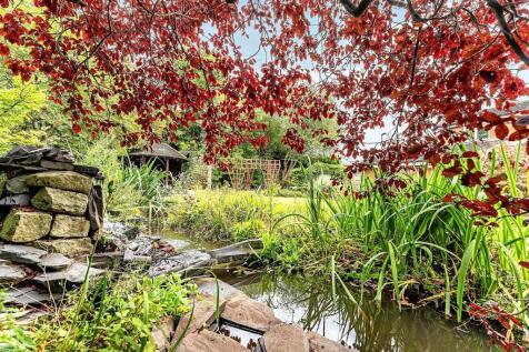 Property Image 44