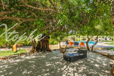 Boliqueime 5 Bed Villa With 18,000m2 Land For Sale (11)