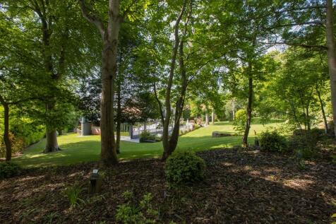 Property Image 42
