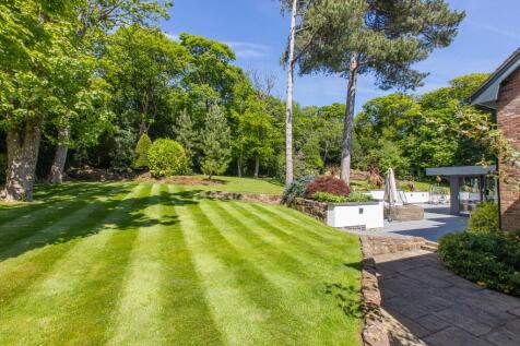 Property Image 58