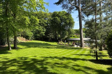 Property Image 58