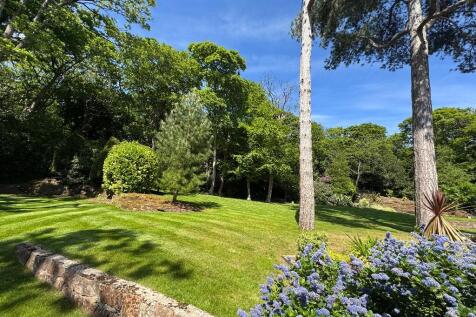 Property Image 61