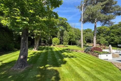 Property Image 62