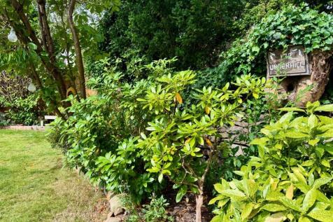 Property Image 44