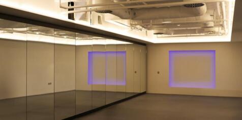 Wellness Studiojpg.png