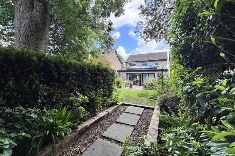 garden1.jpg