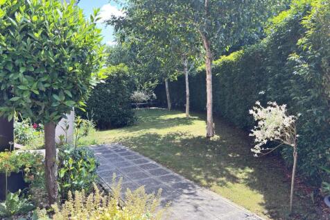 garden.jpg