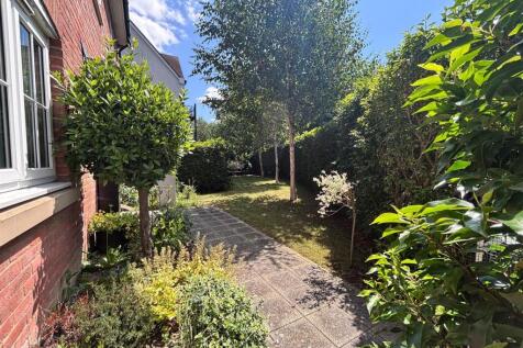 garden1.jpg