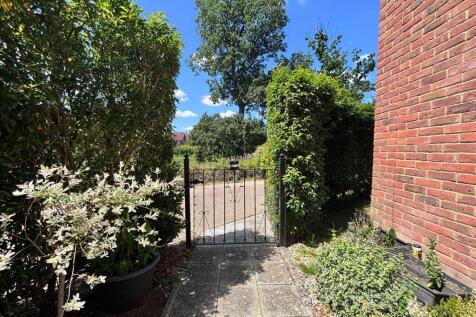 garden3.jpg