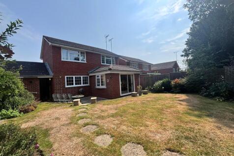 rear garden1.jpg