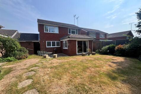 rear garden2.jpg