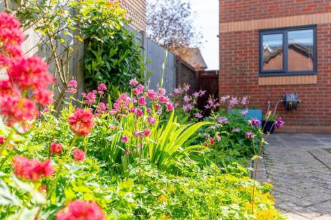 Garden-3.jpg