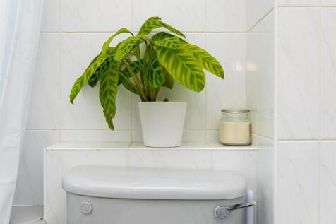 bath-2.jpg