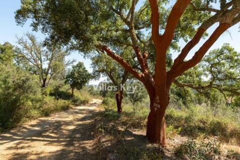 RIVERFRONT PROPERTY IN A NATURAL PARK
