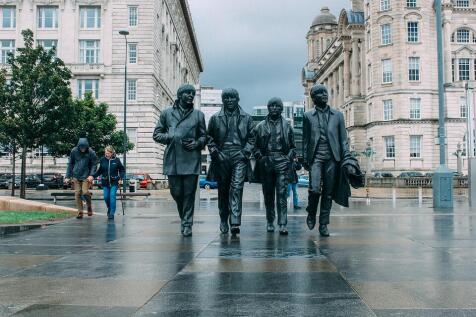 beatle-3819228_960_720