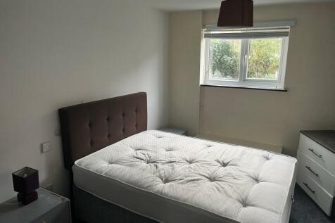 IMG-20241119-WA0006