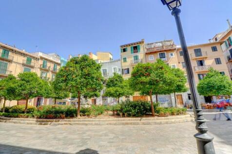 Palma 7