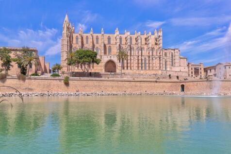 Palma 3