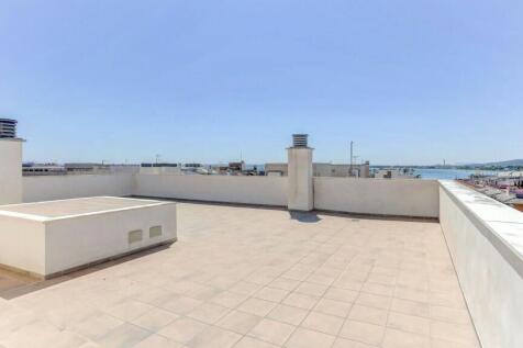 Roof terrace 1 - 1