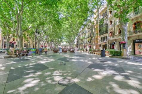Palma 1