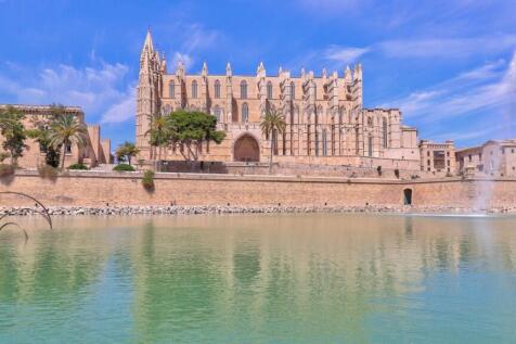 Palma 3