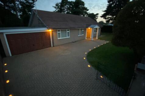 night photo.jpg