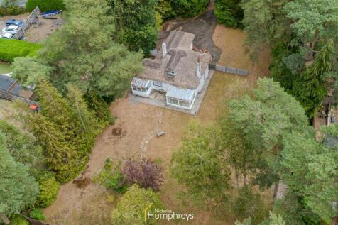 DJI_0196.jpg