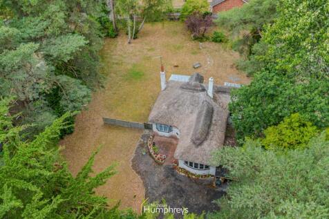 DJI_0198.jpg