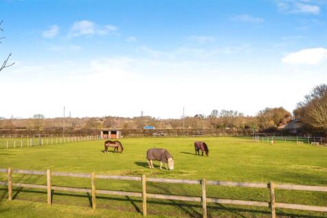 7b818abd-A 20PADDOCK-19.jpg