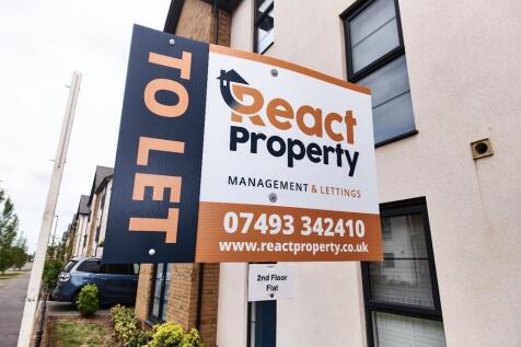 React Property presents