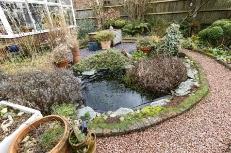 garden #2.jpg